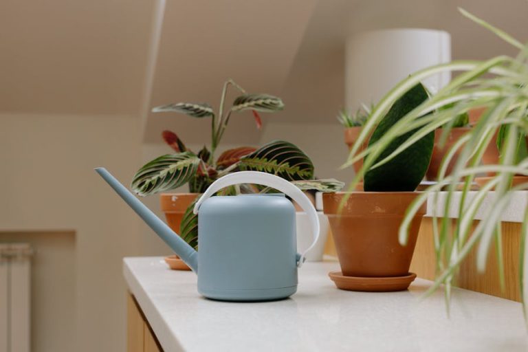Sublimer un intérieur moderne grâce aux plantes vertes